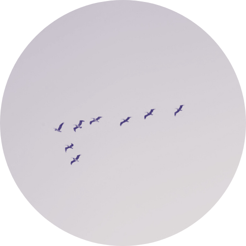 Family Therapy in Copenhagen