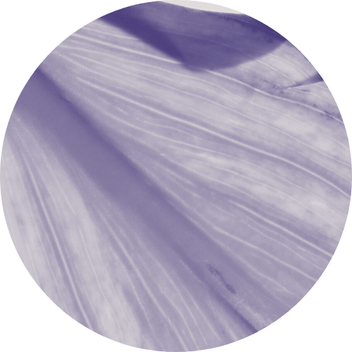 Therapy in English in Copenhagen